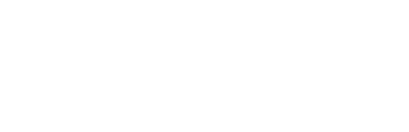 Dincer Logistics - Logo weiß